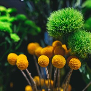 ショップ飾られた花1