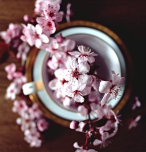 器に飾った桜の花1