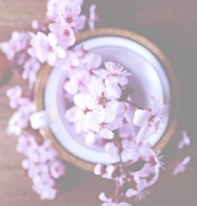 器に飾った桜の花2