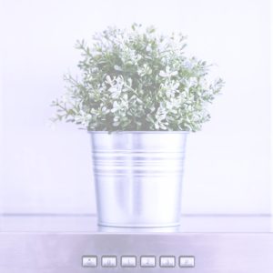 キッチンに飾ったグリーン1