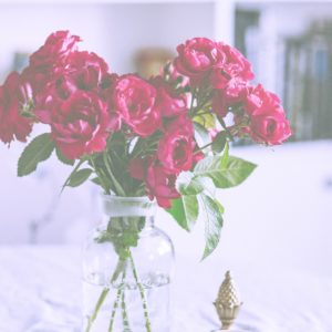 瓶に挿した赤いバラ1