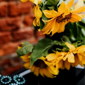 カフェに飾られたひまわり1