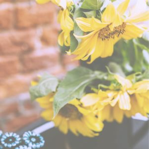 カフェに飾られたひまわり2