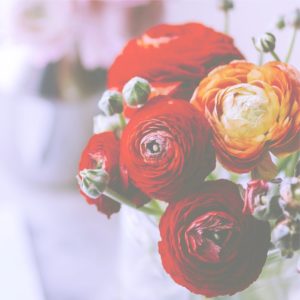 部屋に飾った赤い花2