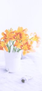 部屋に飾ったオレンジのゆり2