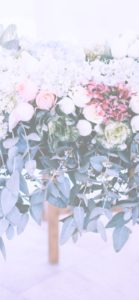 すべての美しい花の画像 驚くばかりiphone11 壁紙 花