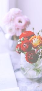 部屋に飾った赤い花1