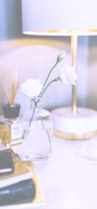 花瓶に挿した白いバラ1