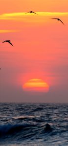 海とサンセット2