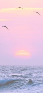 海とサンセット1