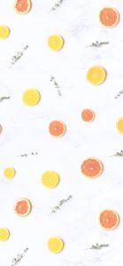 輪切りのオレンジとレモン1