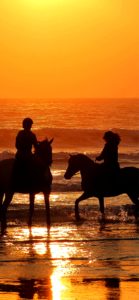 馬と海とサンセット1
