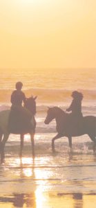 馬と海とサンセット2