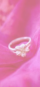 シルバーリング2