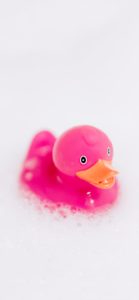 ピンクのあひるのおもちゃ1