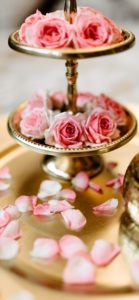 ピンクのバラと花びら1