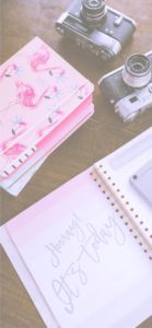 ピンクのノートとカメラ2