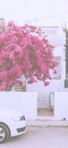 ライラックと白い家2