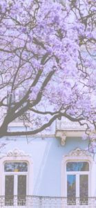 花とピンクの窓枠の家2