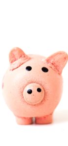 ブタのぬいぐるみ1