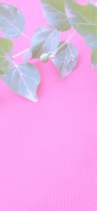 ピンクのバックに緑の葉2