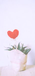 プレゼントラッピングとハート2