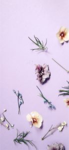 パステルカラーの花1