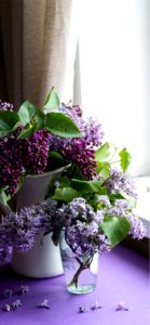 窓辺のライラック2