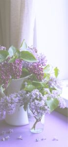 窓辺のライラック1