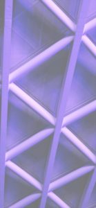 むらさきのテクスチャ1