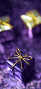 紫のプレゼント2