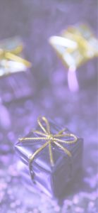 紫のプレゼント1