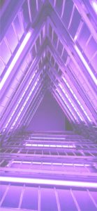 紫色のビルのライト2