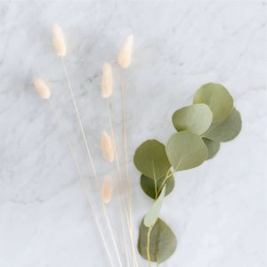 白い大理石と植物