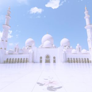 アブダビのモスク2
