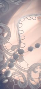 レースとくるみボタン4