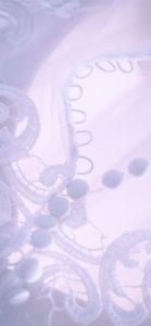 レースとくるみボタン3