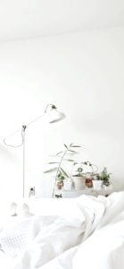 白い部屋と観葉植物