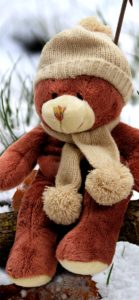 雪の中の熊のぬいぐるみ1