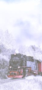 雪景色と蒸気機関車2