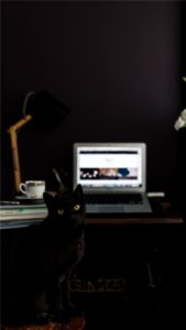 黒い猫とデスク