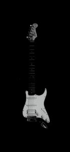 黒と白のギター