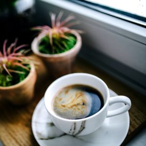 観葉植物とコーヒー3