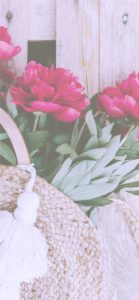 カゴに入れた赤い花2