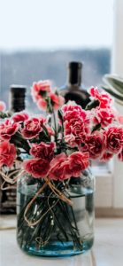 花瓶に挿したカーネーション1