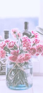 花瓶に挿したカーネーション2