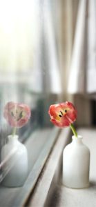 窓に映る一輪挿し1