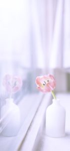 窓に映る一輪挿し2