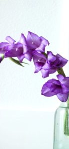 グラジオラスの一輪挿し1