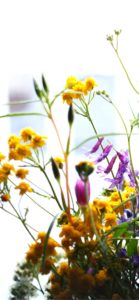 ナチュラルな花1